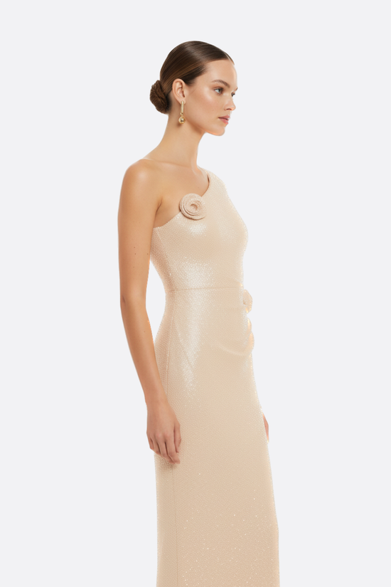 Liana One Shoulder Maxi Dress