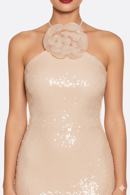 Céleste Sequin Maxi Dress
