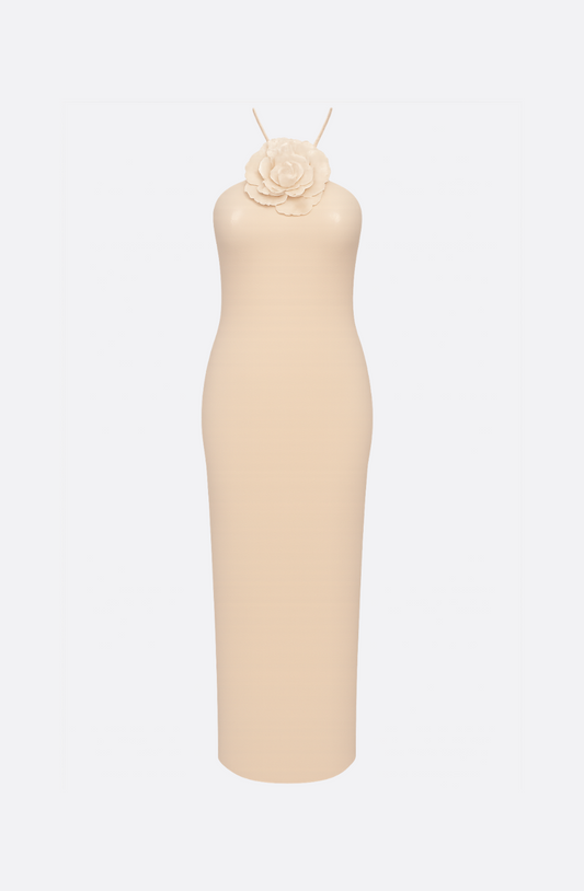 Céleste Sequin Maxi Dress